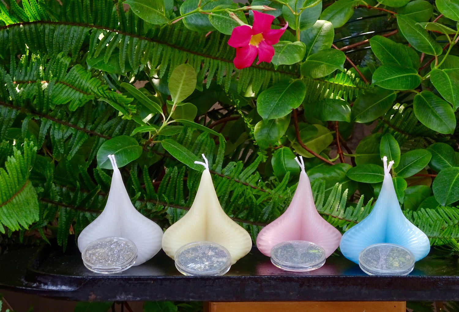 Four Destiny Decision Candles pastel colors with the Destiny Sparkles coin case.  The green plants and pink flower in the background.  Each candle shows the two wicks to light when you ask your question. 