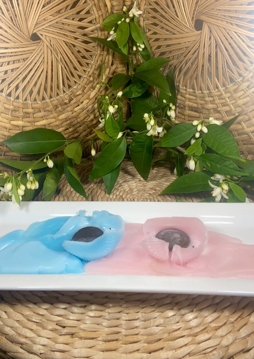 Baby Gender Reveal Candle Set