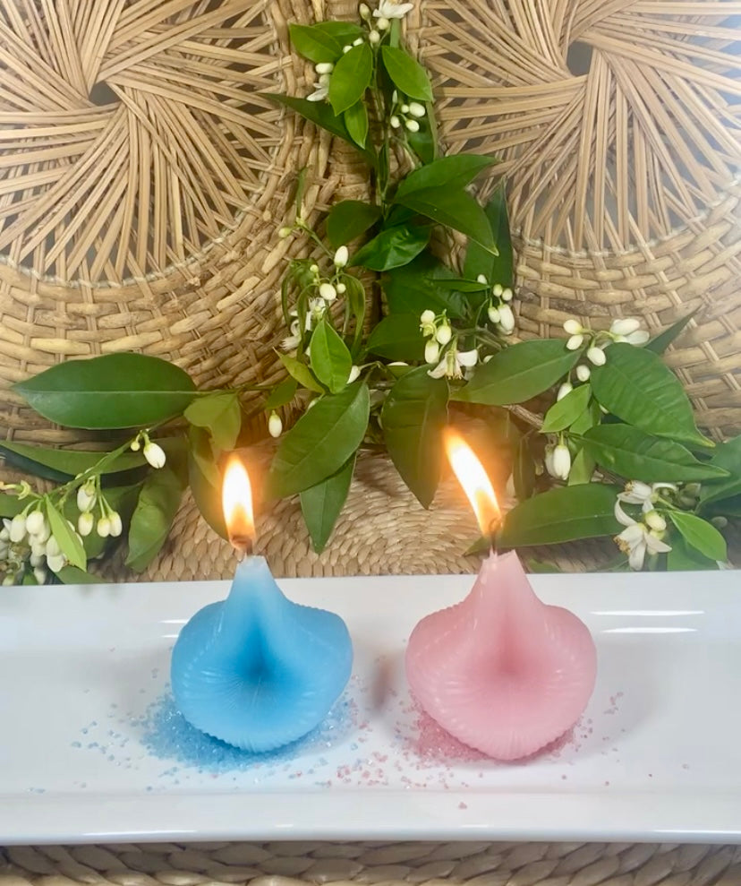 Baby Gender Reveal Candle Set   It's a Boy! or It's a Girl!