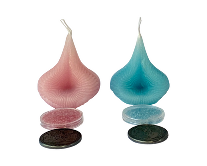 Baby Gender Reveal Candle Set