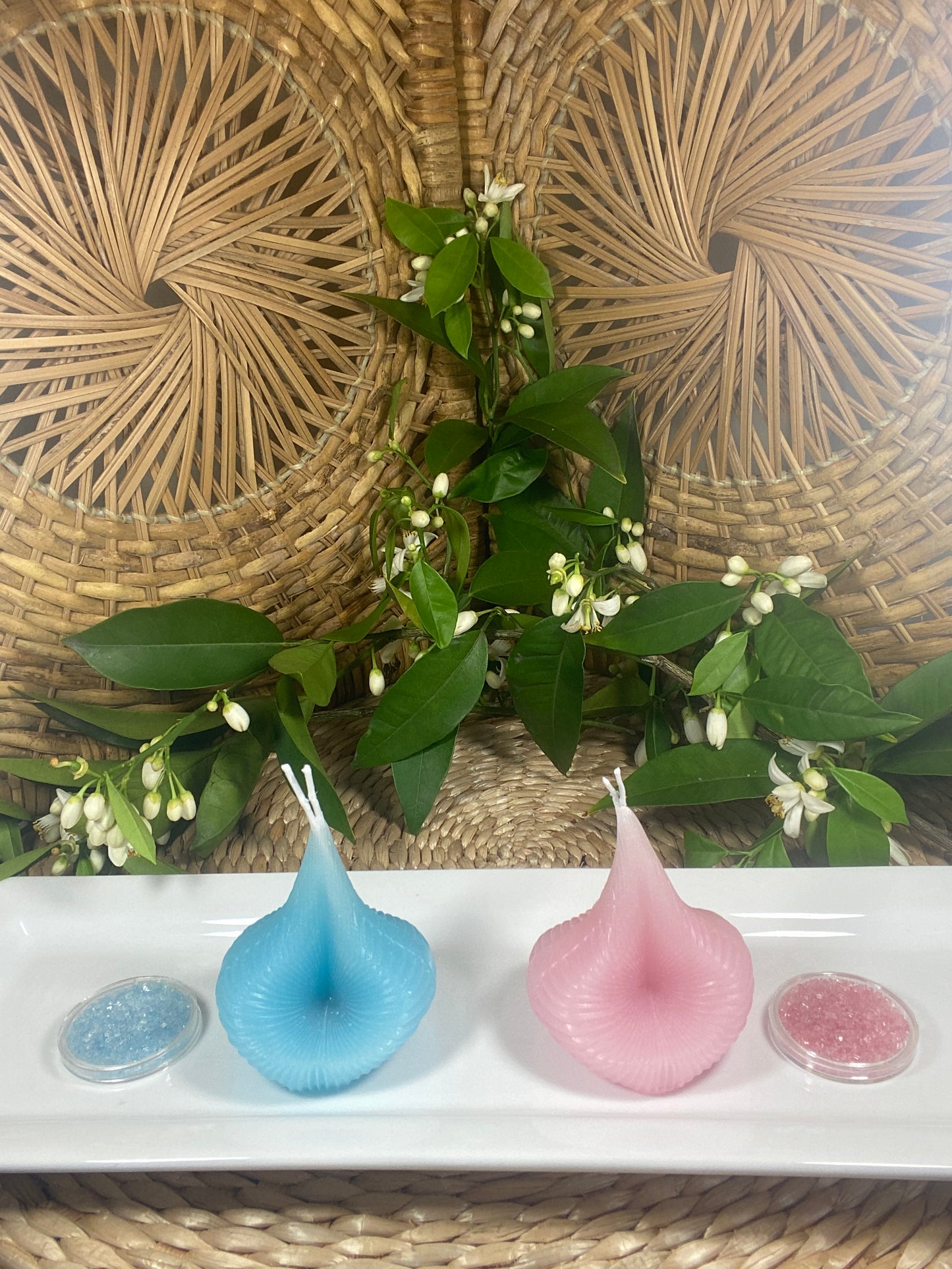 Baby Gender Reveal Candle Set