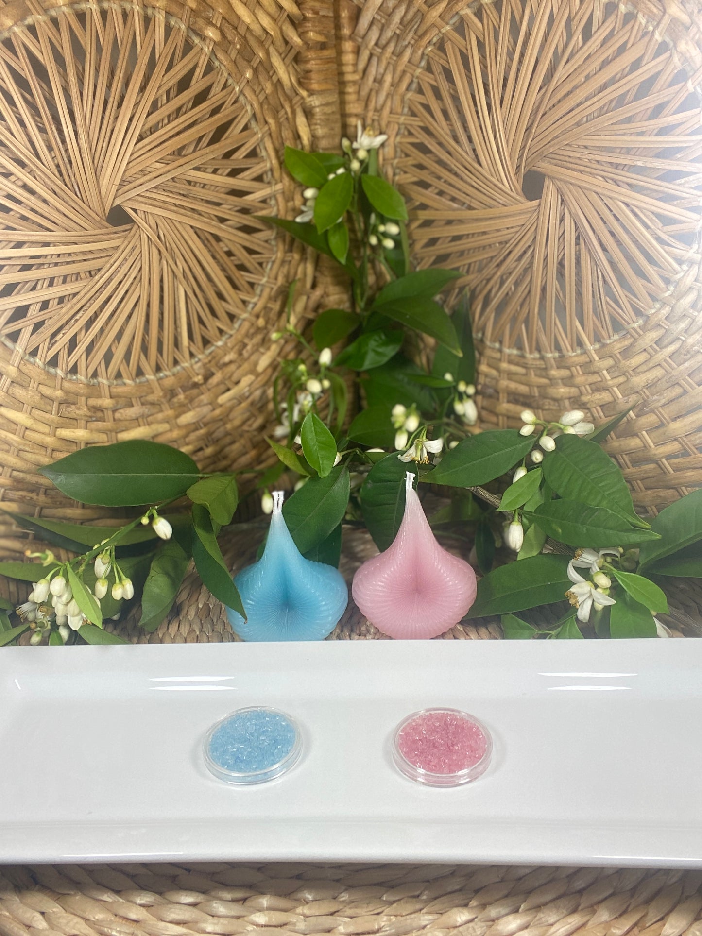 Baby Gender Reveal Candle Set